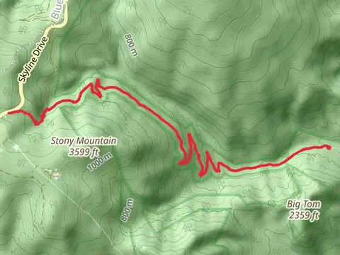 Rose River Fire Road and Dark Hollow Falls Trail