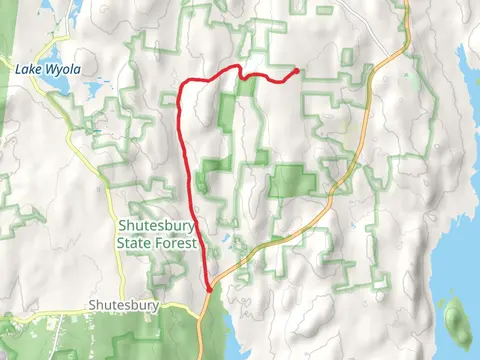 Shutesbury State Forest