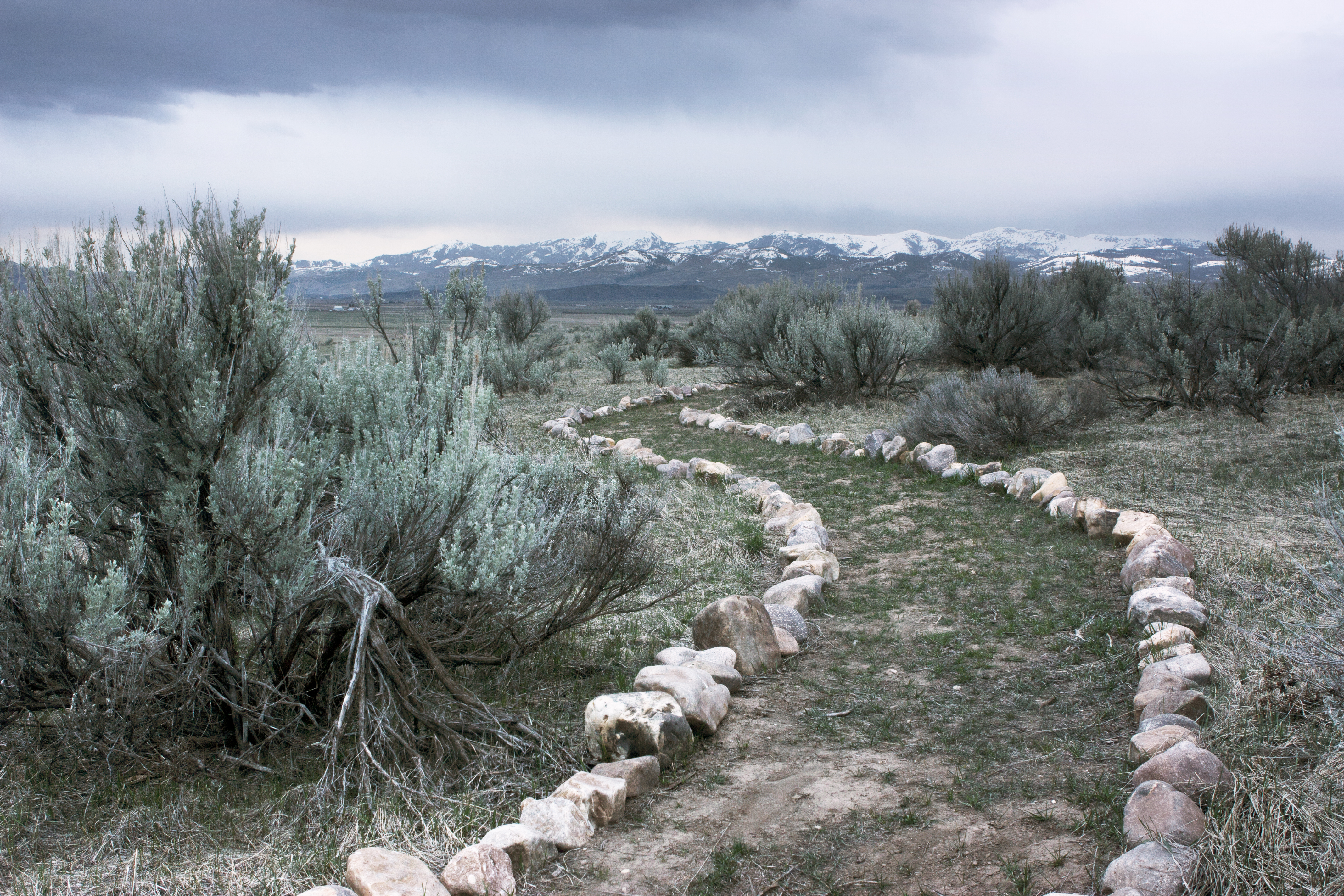 An image depicting the trail Caribou-Targhee National Forest and its surrounding area.