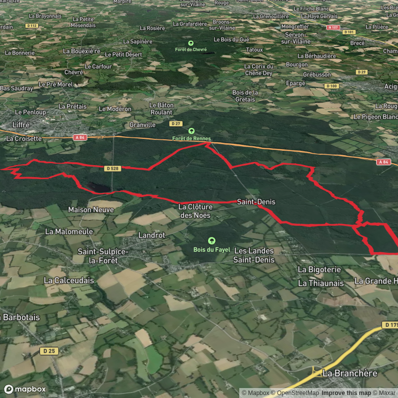 Short-half marathon in Foret de Rennes