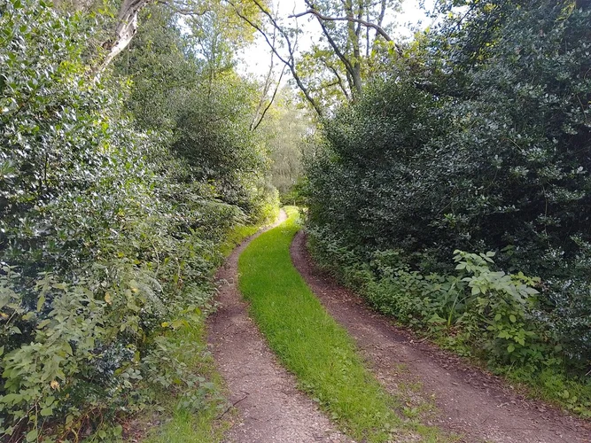 New Common and Pease Hill via Berkshire Circular Walk