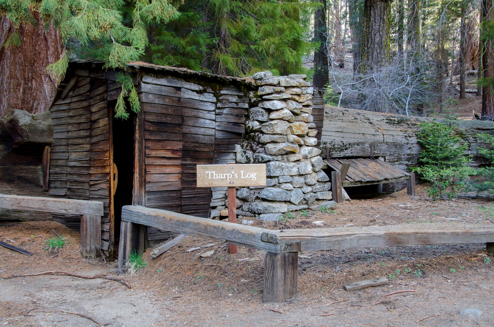 An image depicting the trail Tharp's Log Loop Trail and its surrounding area.
