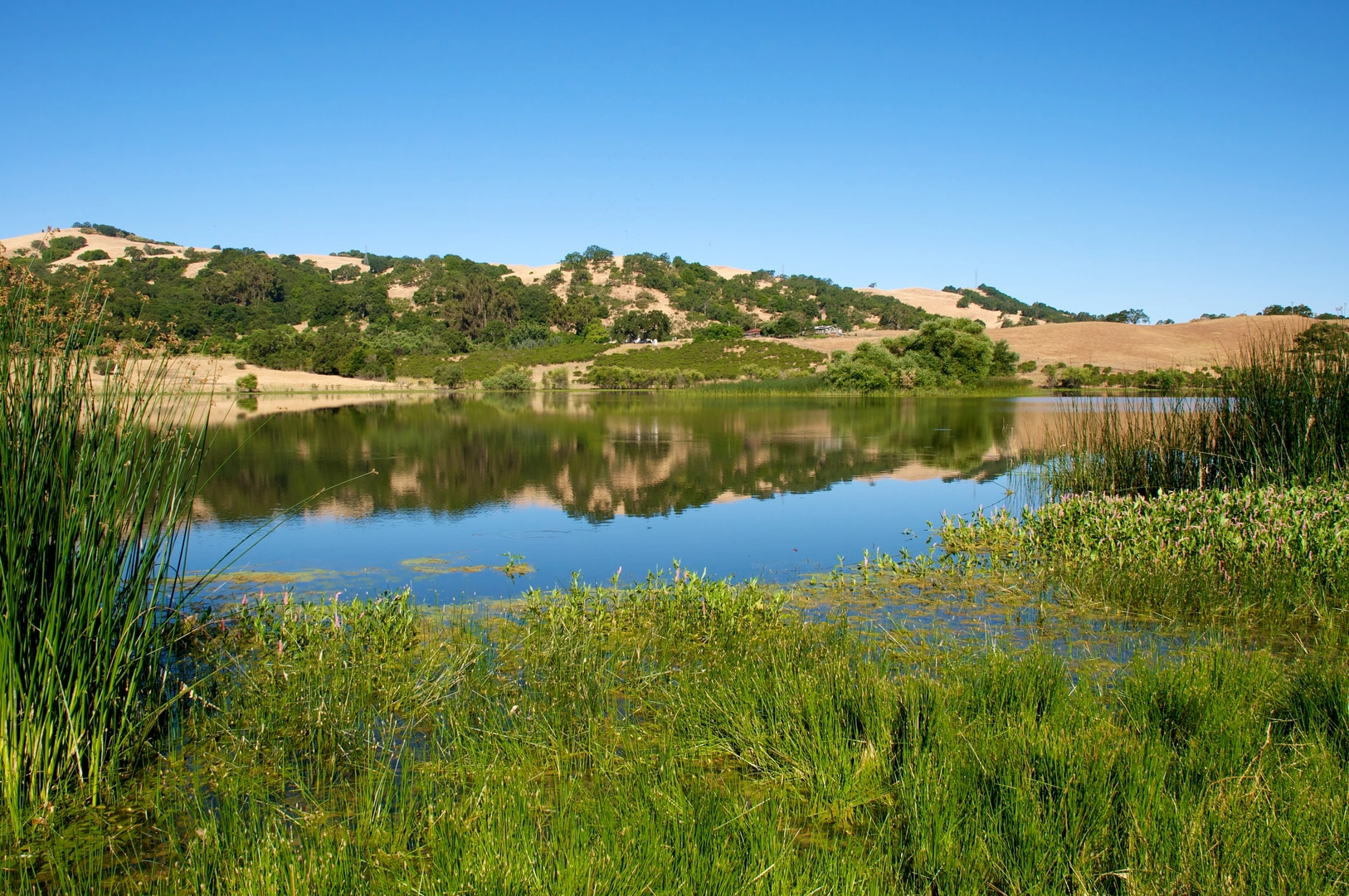 An image depicting the trail Yerba Buena, Bass Lake and Hotel Loop Trail and its surrounding area.