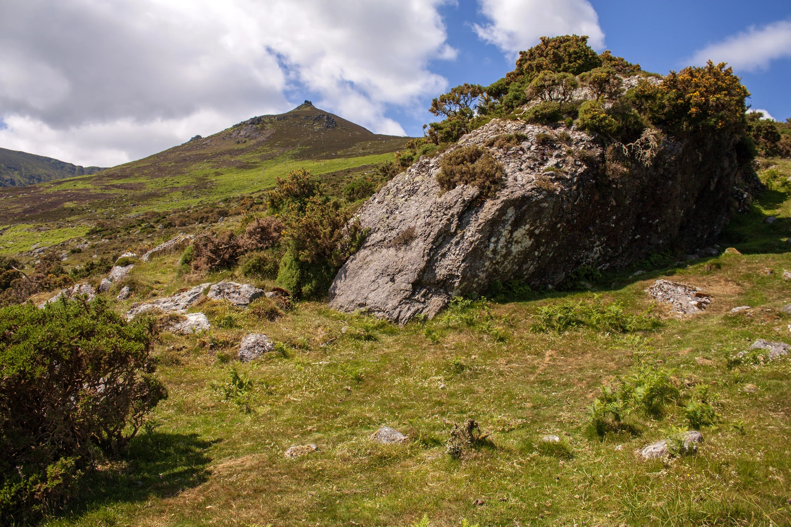 An image depicting the trail Boolas Loop and its surrounding area.