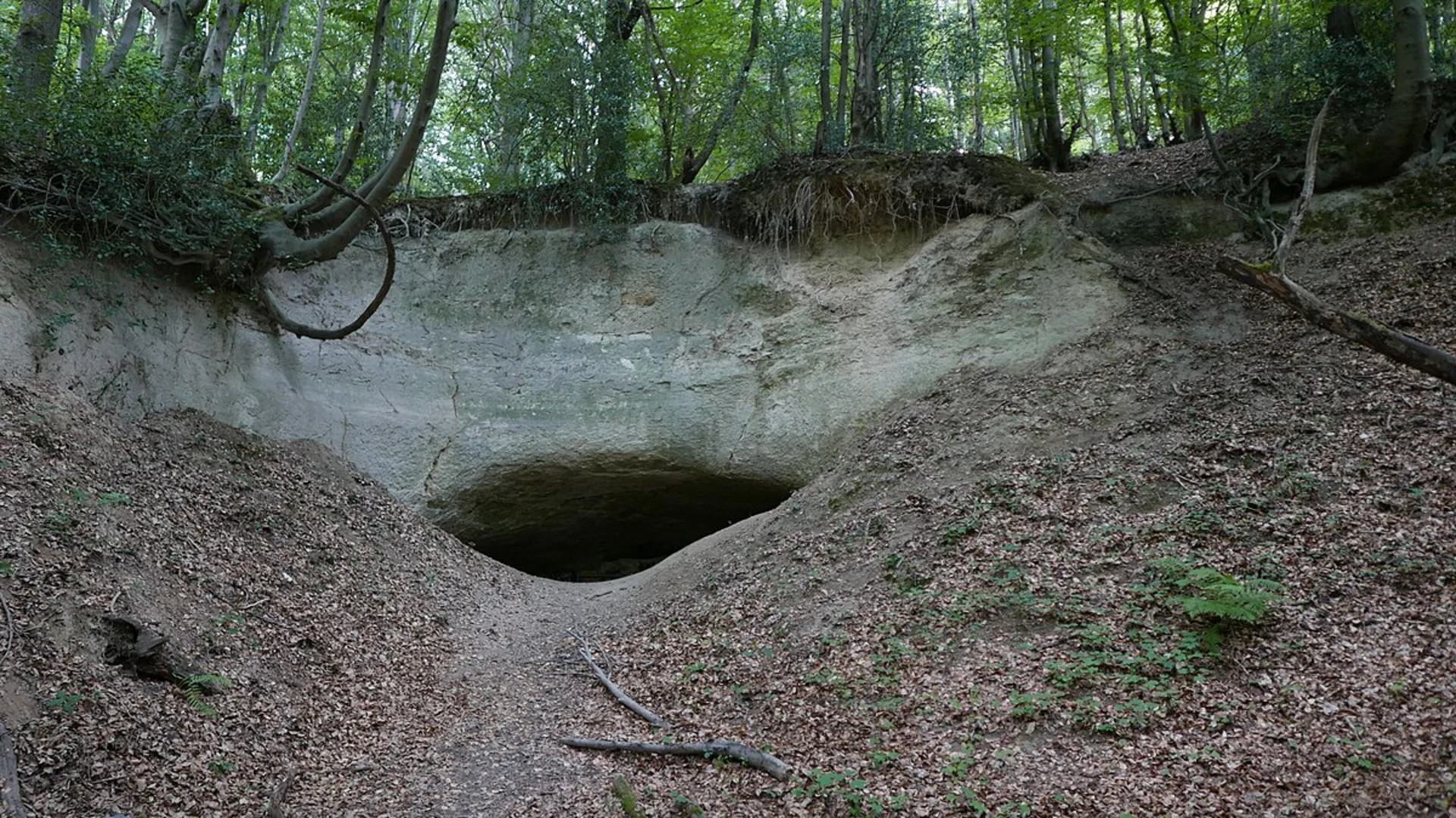 An image depicting the trail Elsterradweg Loop and its surrounding area.