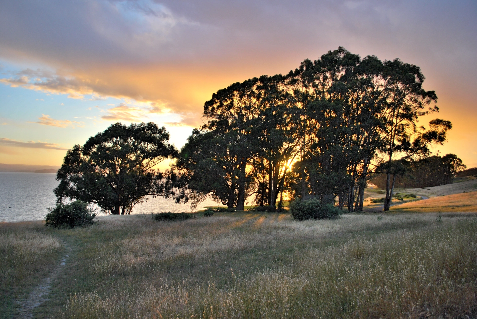 An image depicting the trail Giant Station, Woods and Pinole Point Loop Trail and its surrounding area.