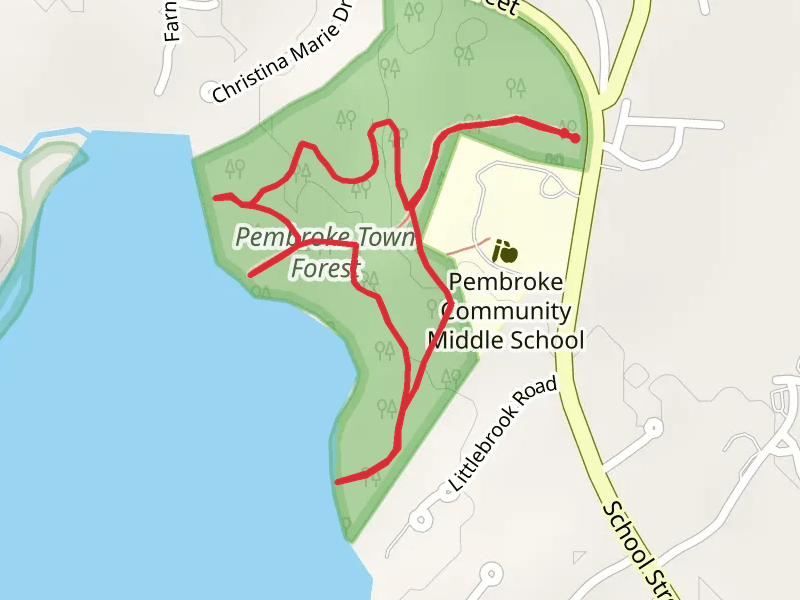 Pembroke Town Forest Loop