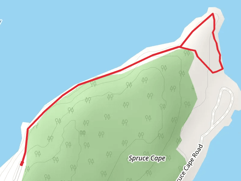 Spruce Cape Trail