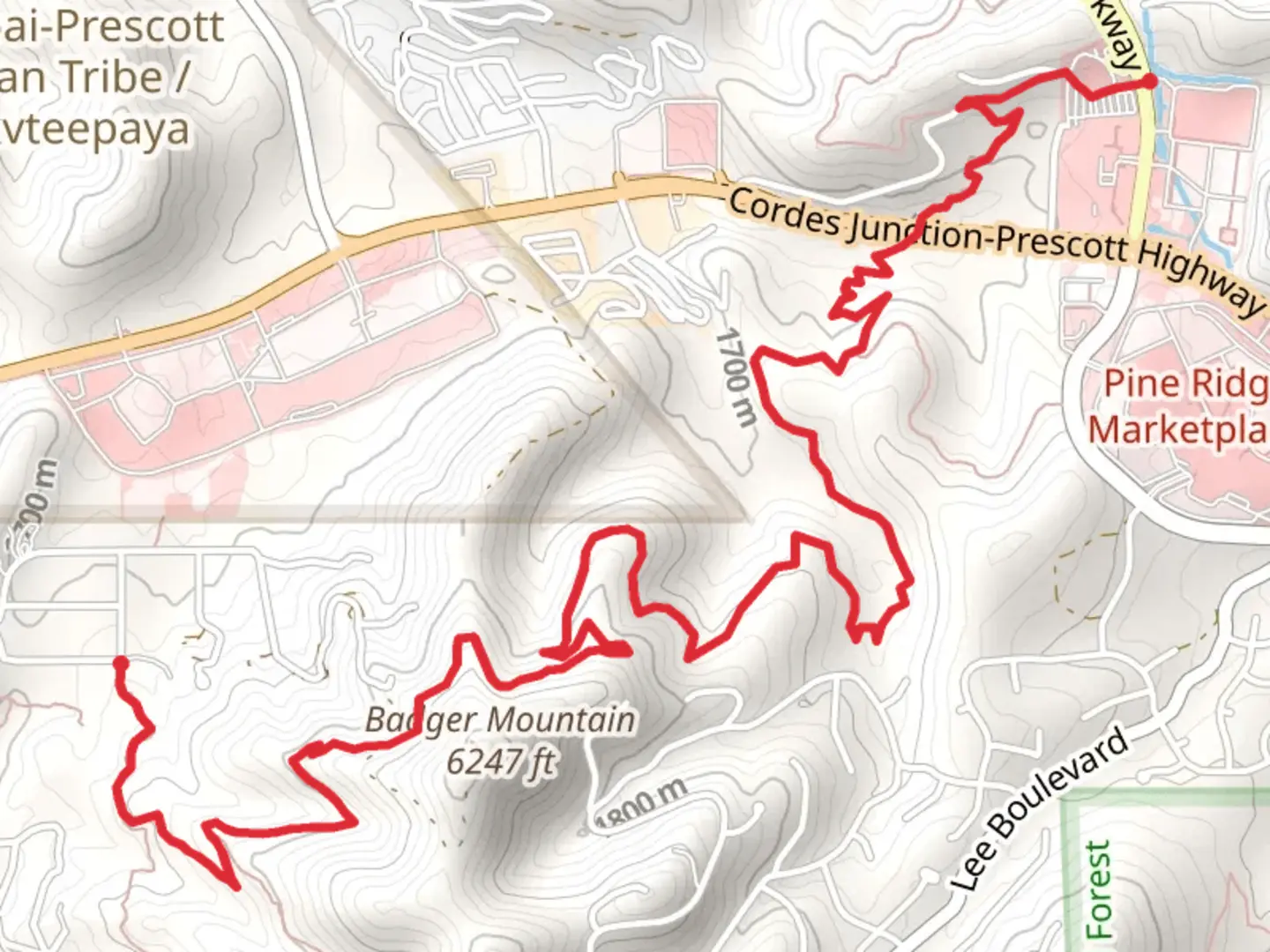 An image depicting the trail Badger Turley Connector and Badger Mountain Trail and its surrounding area.