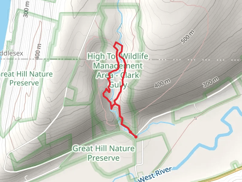 Clark Gully Loop