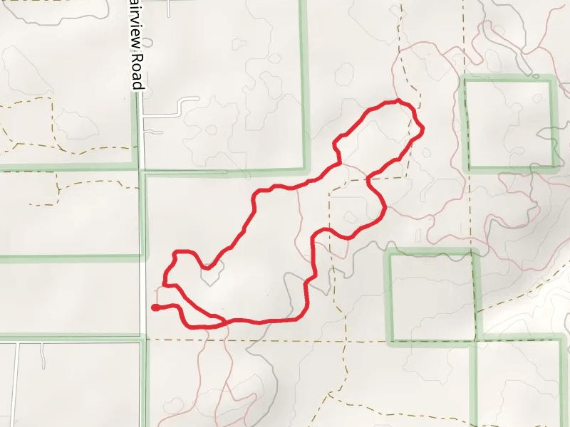 Ogemaw Hills Pathway Loop