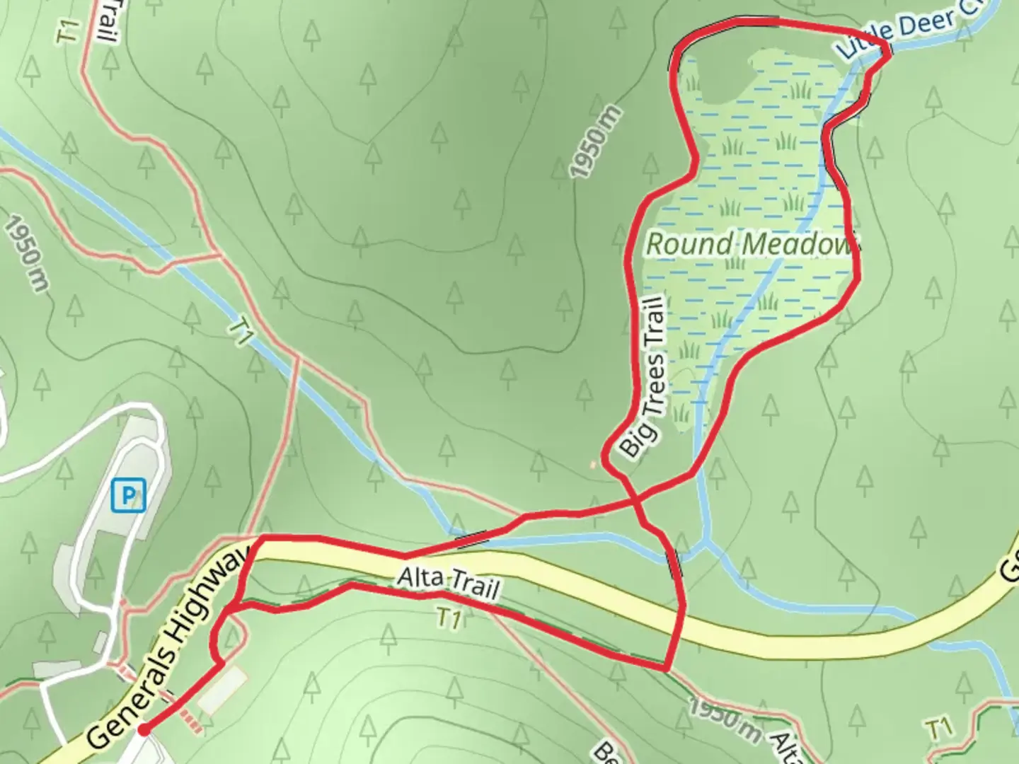 An image depicting the trail Alta and Big Trees Loop Trail and its surrounding area.