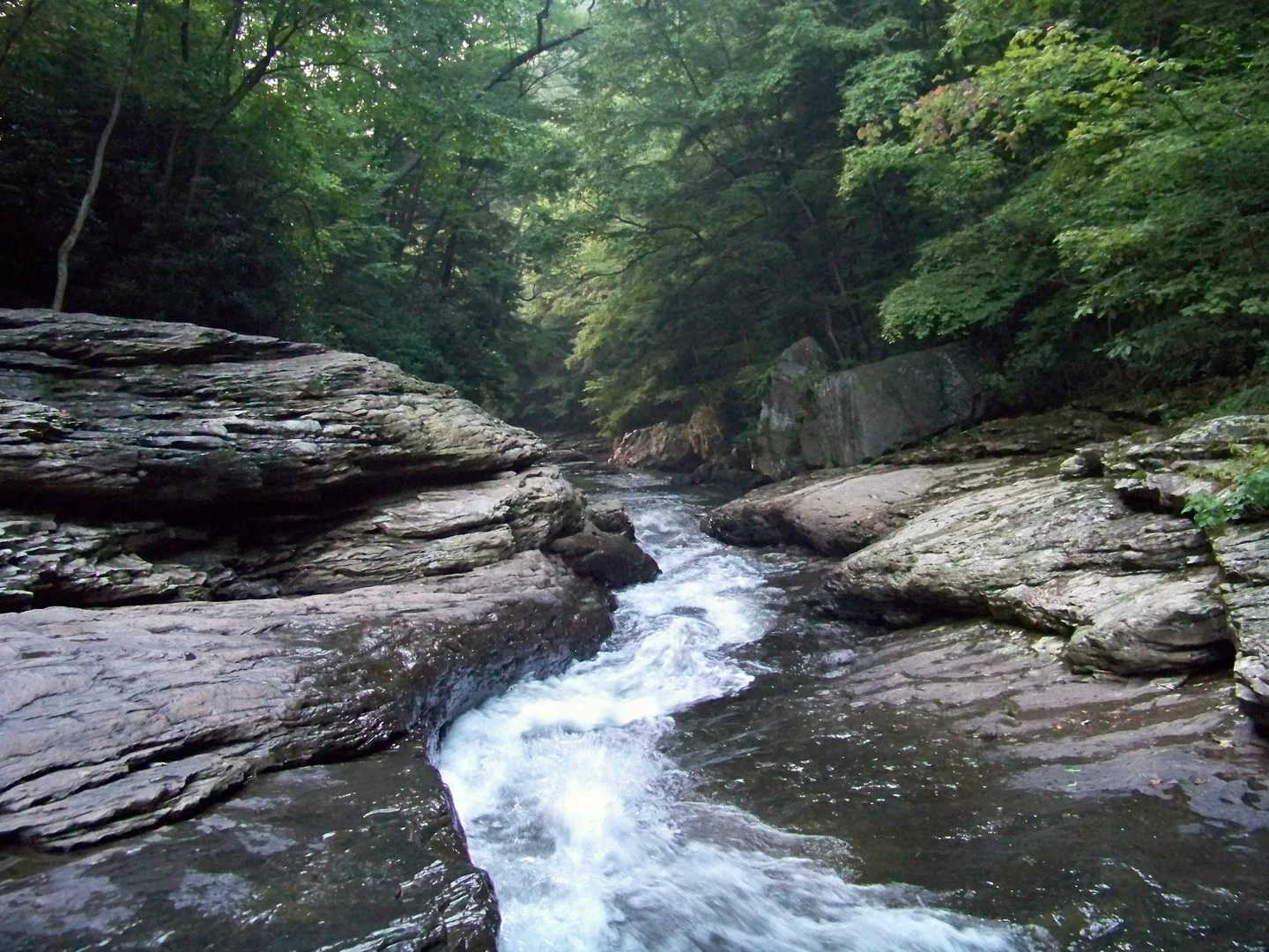 An image depicting the trail Ohiopyle - Meadow Run Loop Trail and its surrounding area.