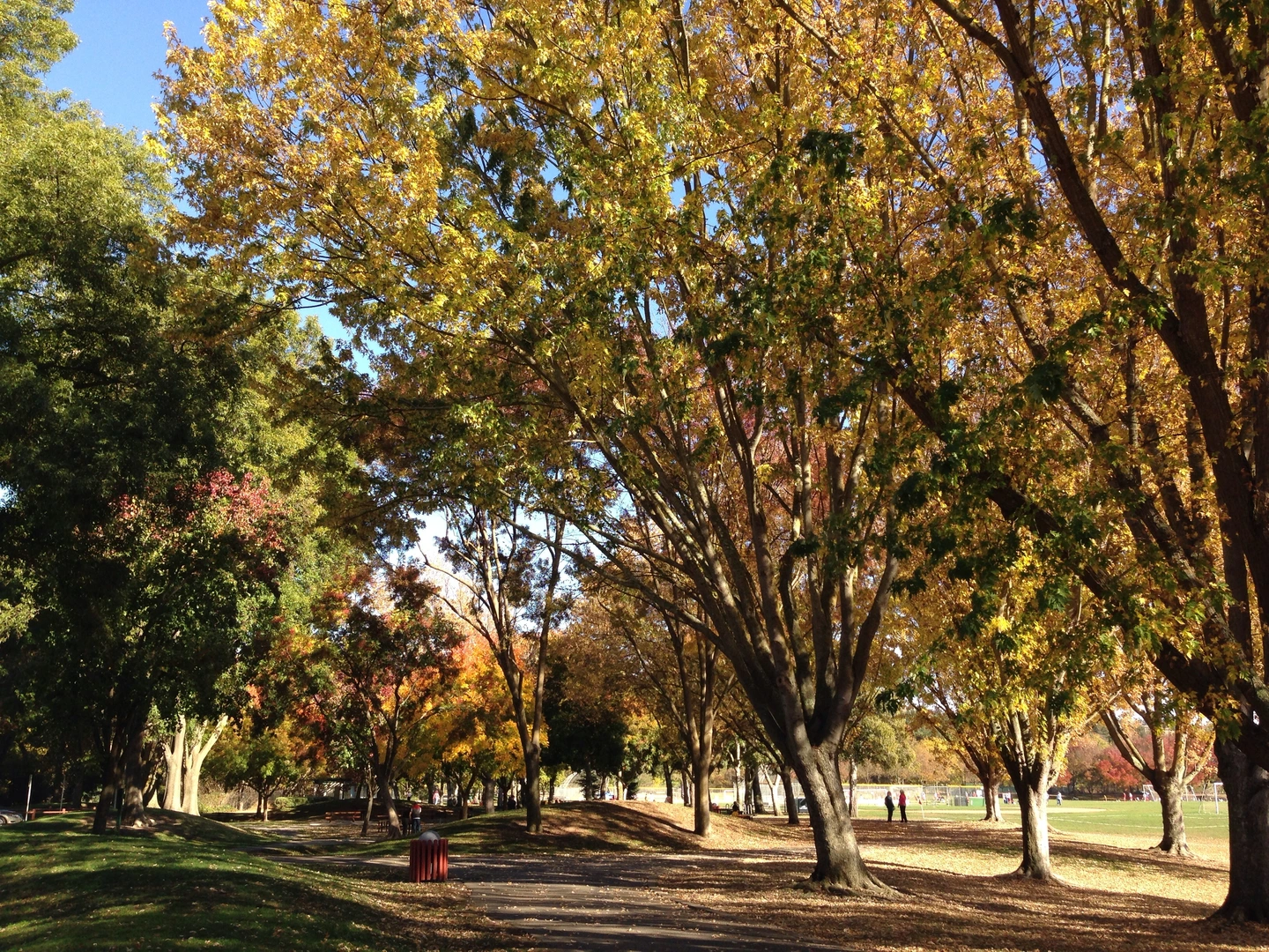An image depicting the trail Osage Station Park Loop and its surrounding area.