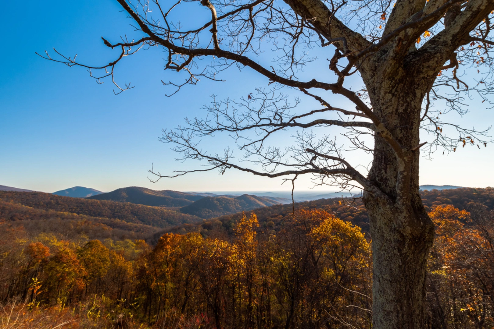 An image depicting the trail Thornton River Lower Trail and its surrounding area.