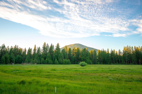Upper Butte Loop Trail