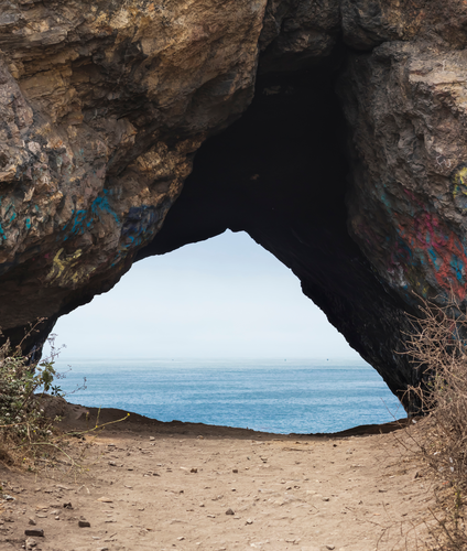 Shell Beach Bluff Trail