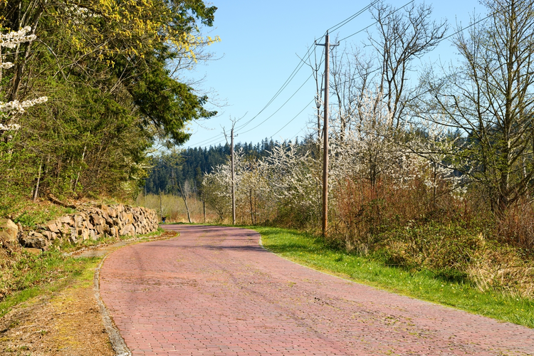 Hester Lake Trail