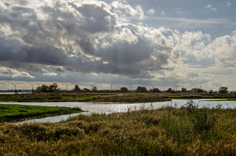 Oud Herkingse Zeedijk, Springersdiep and Grevelingenmeer Loop