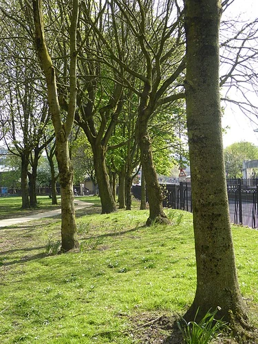 Ordsall Park Loop