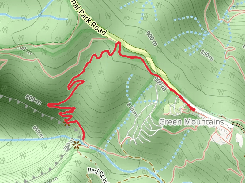 Morans Falls Track