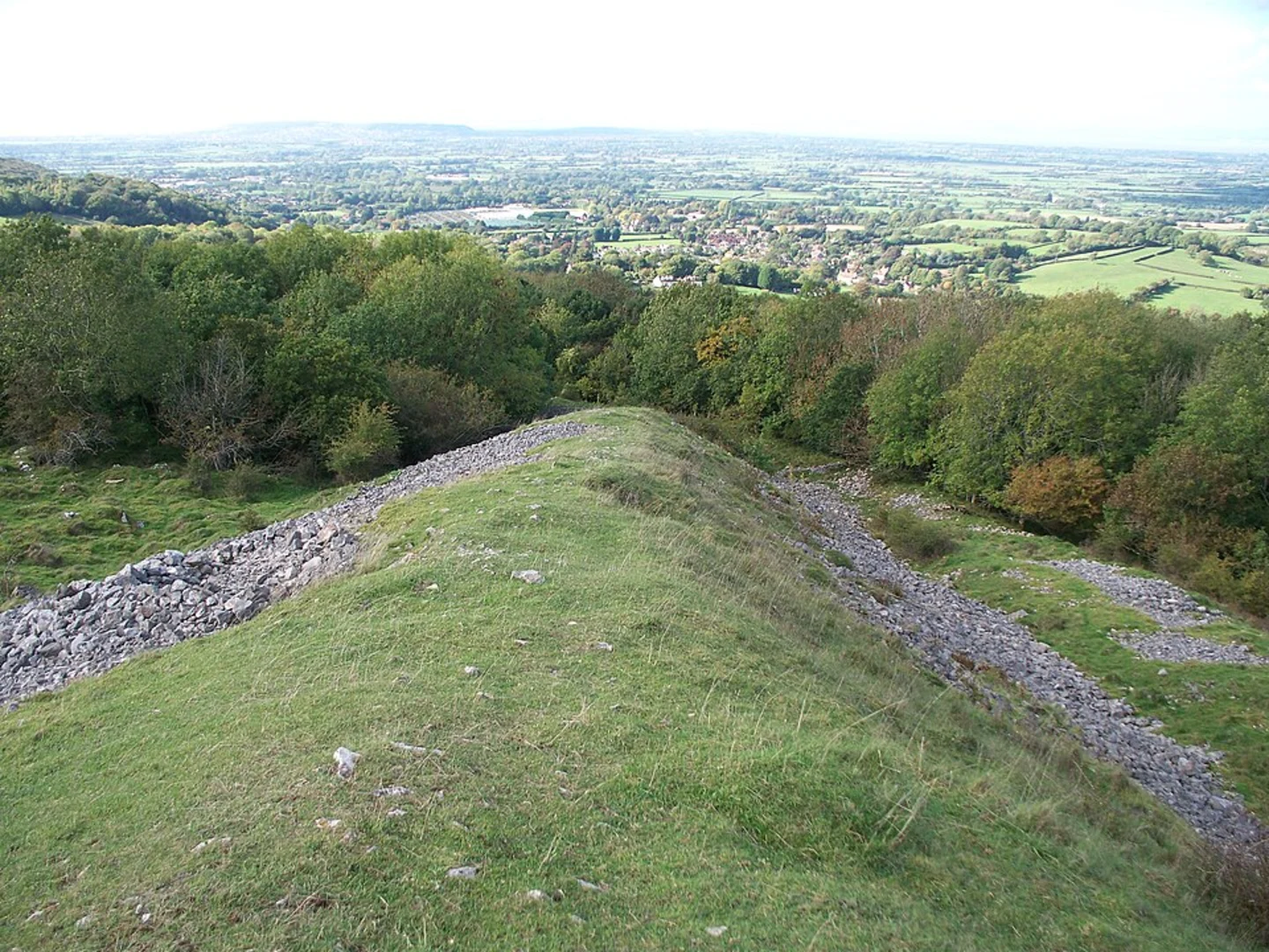 An image depicting the trail Rowberrow Warren Wood Short Loop and its surrounding area.