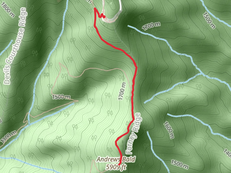 Andrews Bald via Forney Ridge Trail