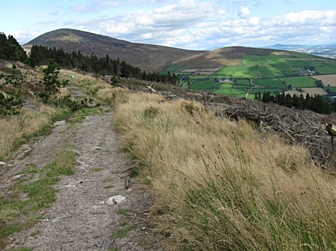 Blackstairs Mountain Loop