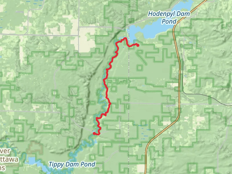 Manistee River Trail