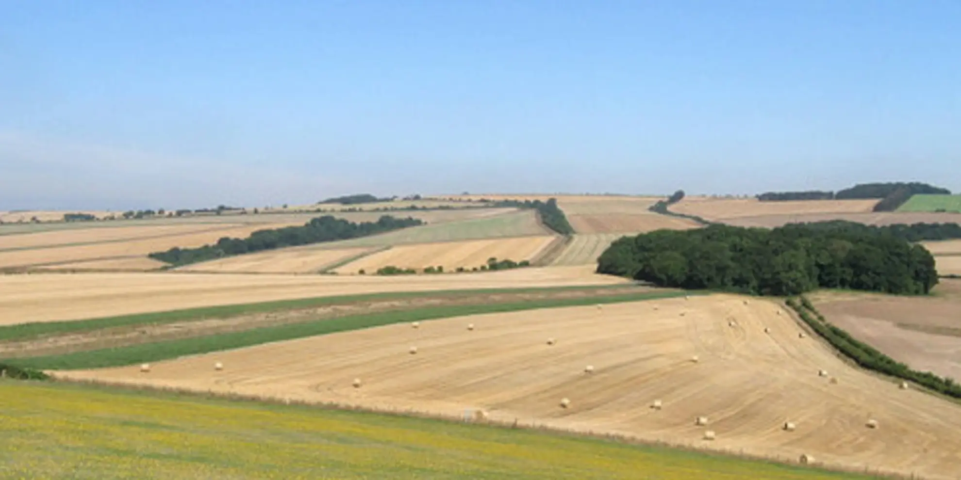 An image depicting the trail Amberley Mount and Wepham Down from Burpham and its surrounding area.