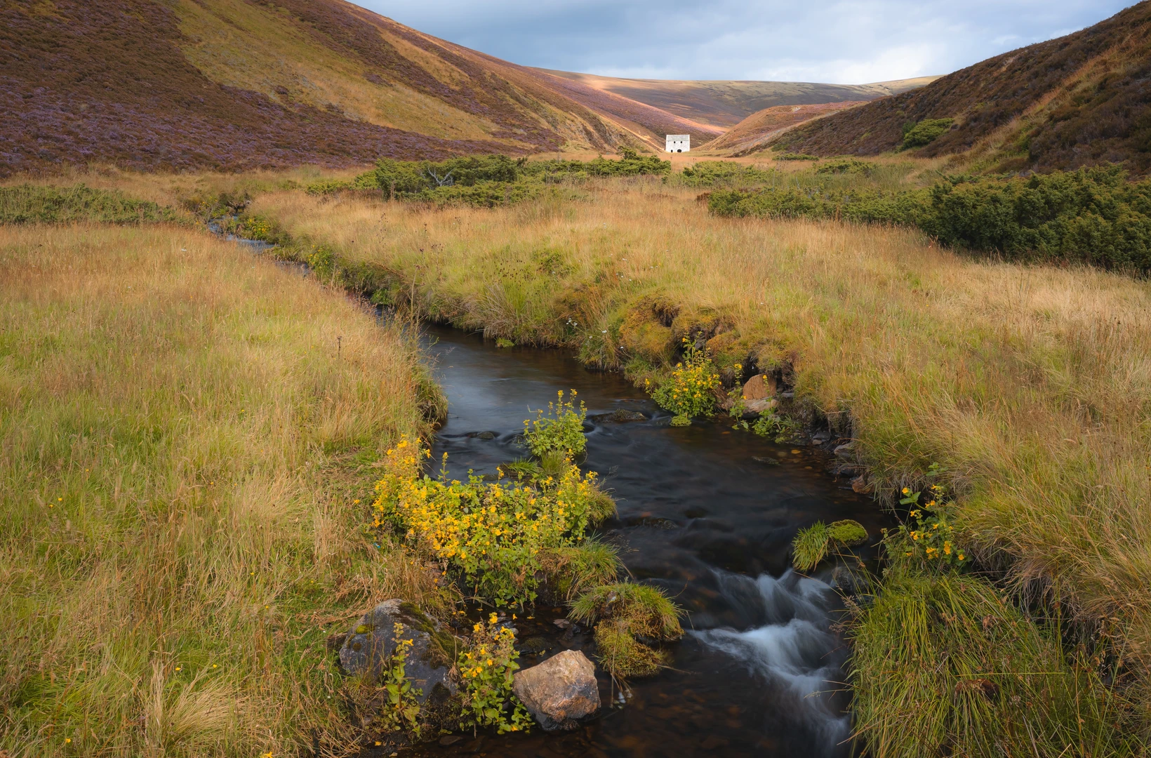 An image depicting the trail Torran Deallaig, Craig Veann, Tom Buirich and Cairn Vaich Loop and its surrounding area.