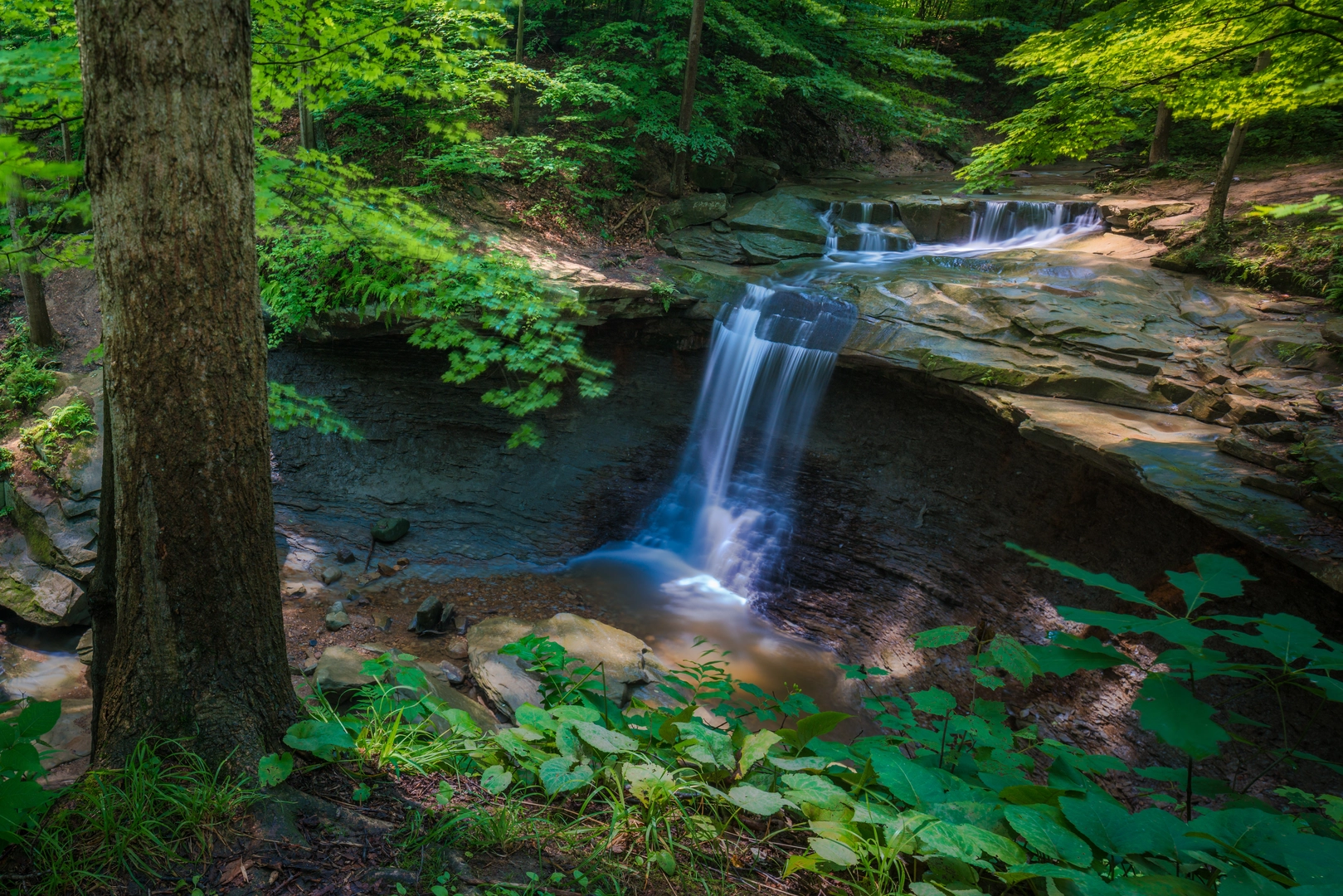 An image depicting the trail Blue Hen Falls Spur and Buckeye Trail and its surrounding area.
