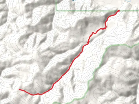 Tyler Creek Trail
