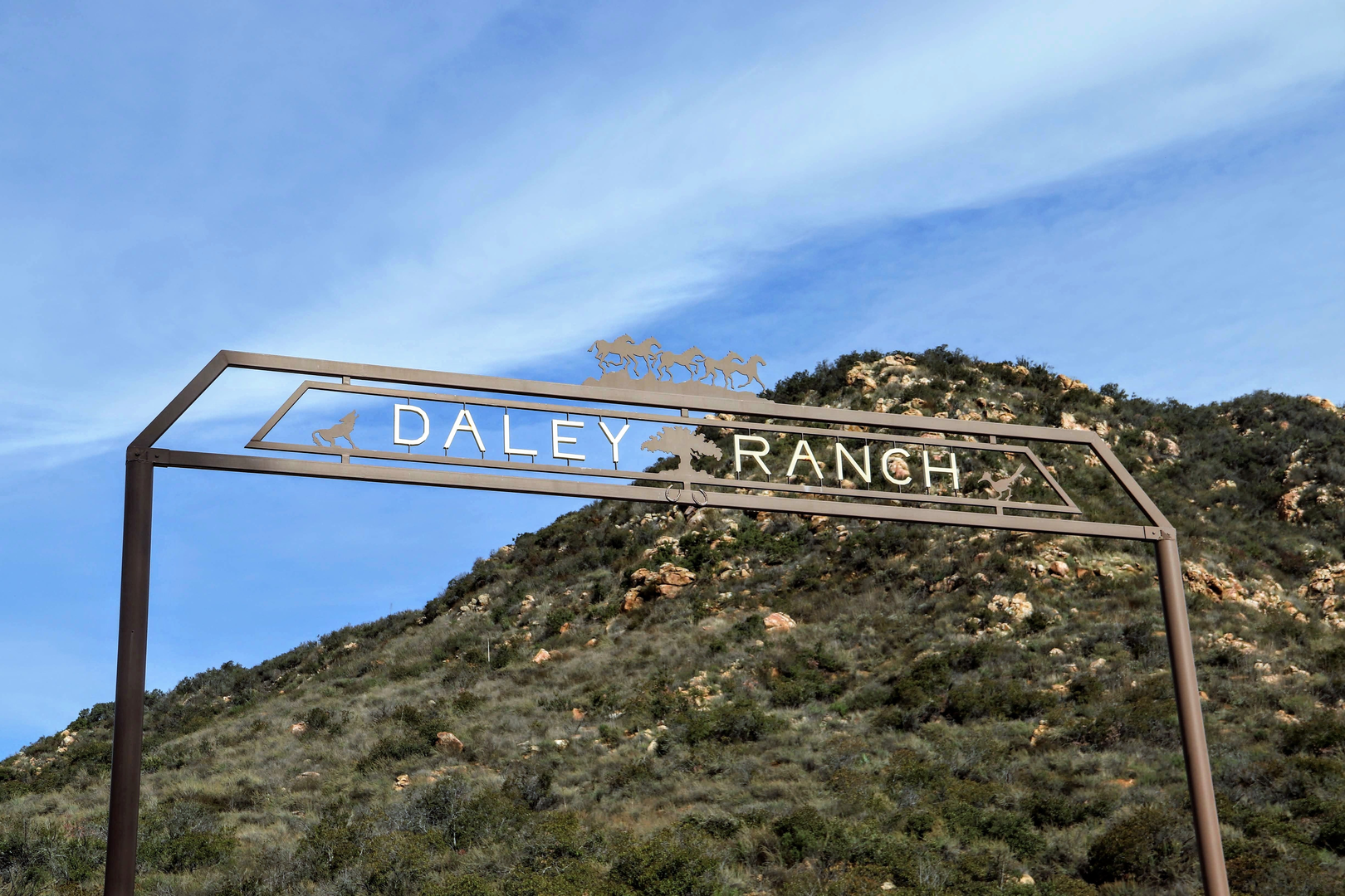 An image depicting the trail Sage, Jack Creek Meadow and Engelmann Oak Loop Trail and its surrounding area.