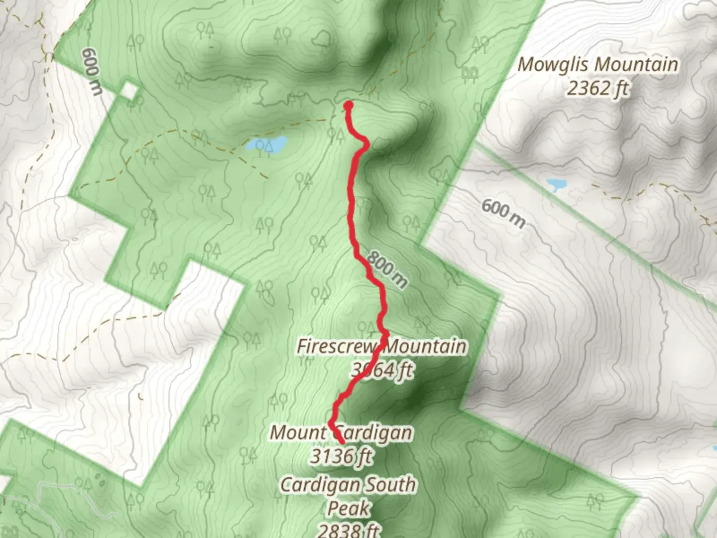 An image depicting the trail Firecrew Mountain and Mount Cardign via Mowglis Trail and its surrounding area.