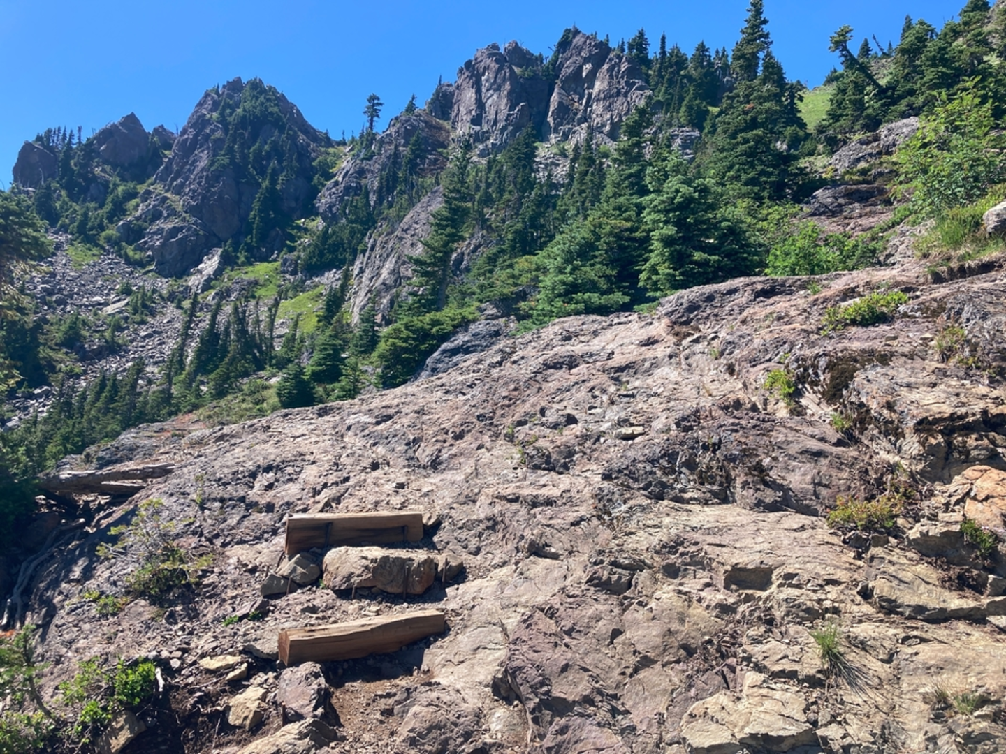 An image depicting the trail Mt Ellinor Access Trail and its surrounding area.