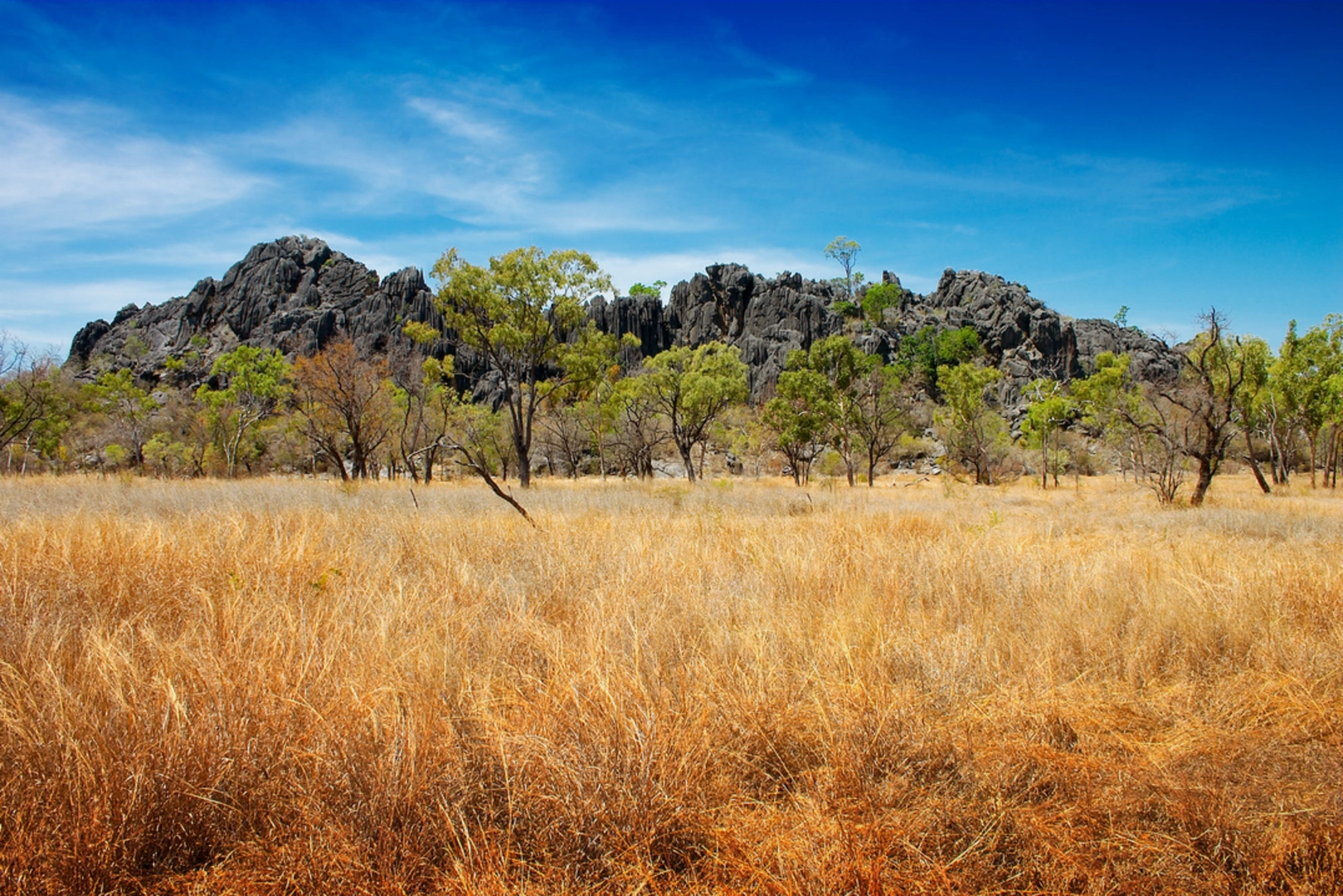 An image depicting the trail Royal Arch Track and its surrounding area.