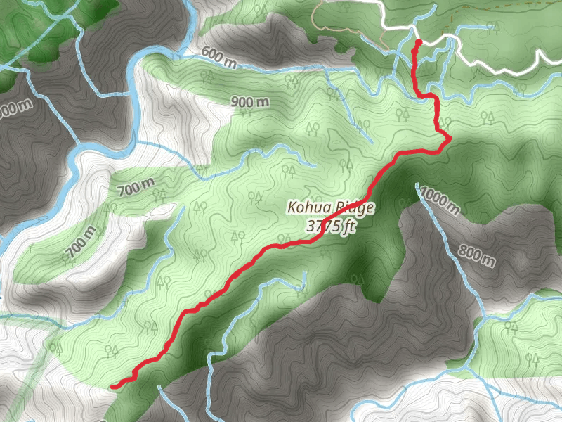 Kohua Ridge Trail