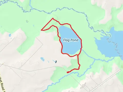 Flag Pond Loop