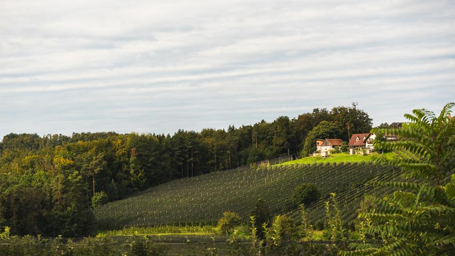 Puch to Weiz - Apple Paradise Trail