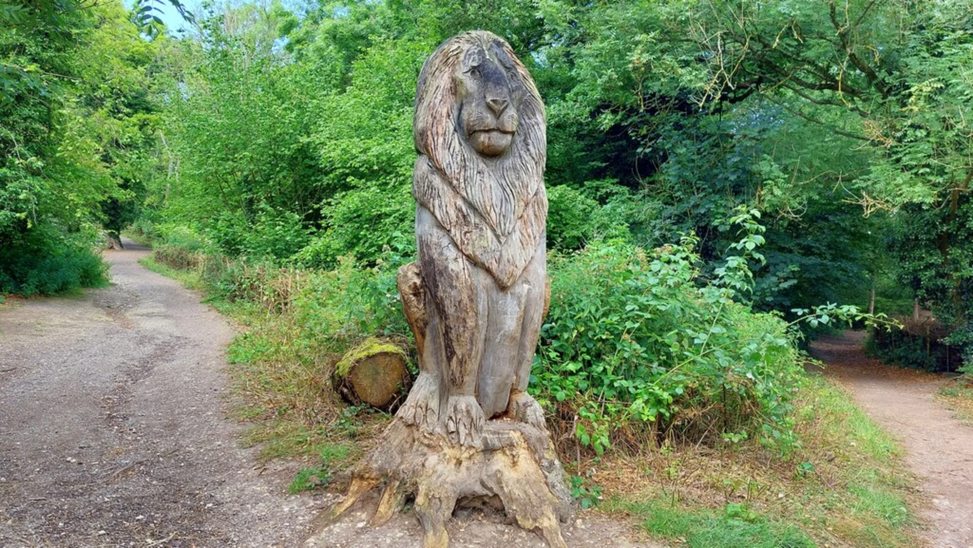 An image depicting the trail Banstead Wood Loop and its surrounding area.