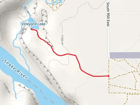Vineyard Lake