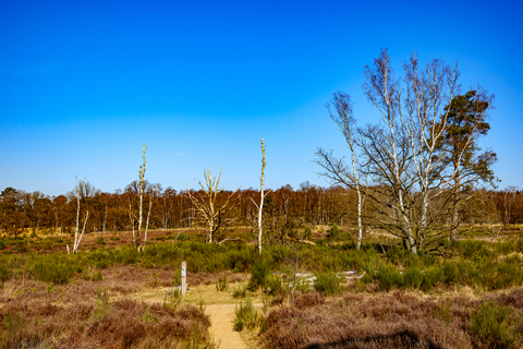 Effelder Waldsee and Turfkoelen Loop