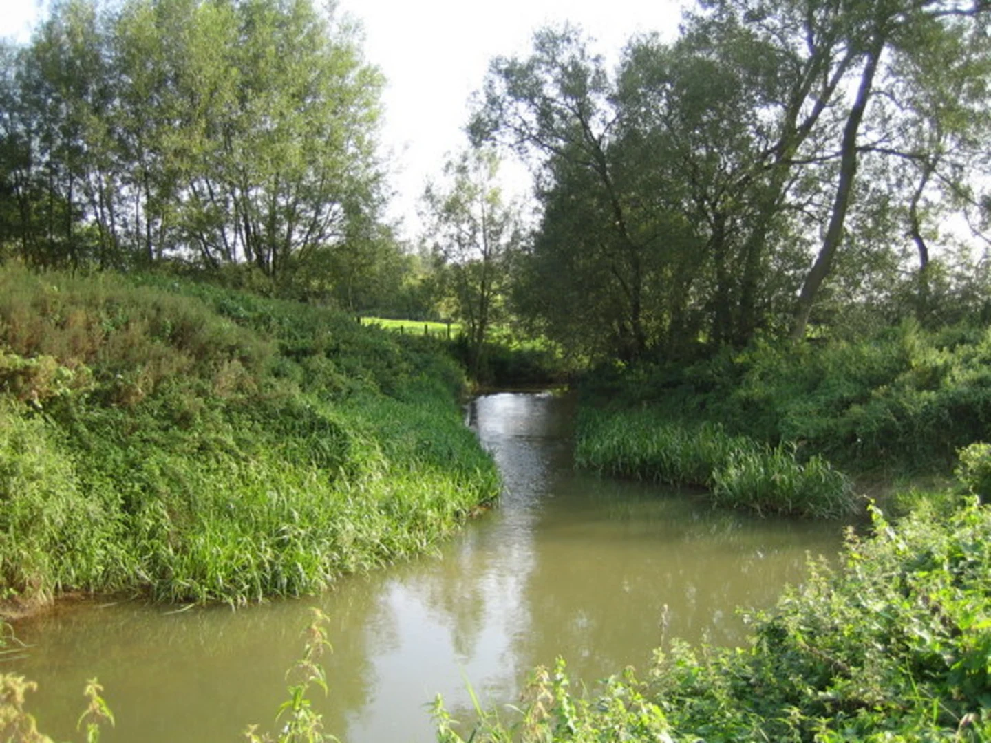 An image depicting the trail Hillesden Country Park Loop and its surrounding area.