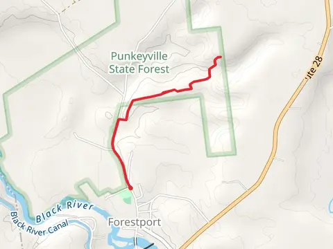 River Road Trail - Forestport