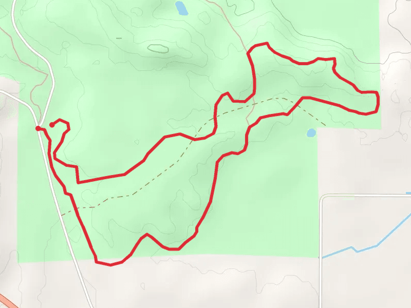 Big Aspen Loop Trail