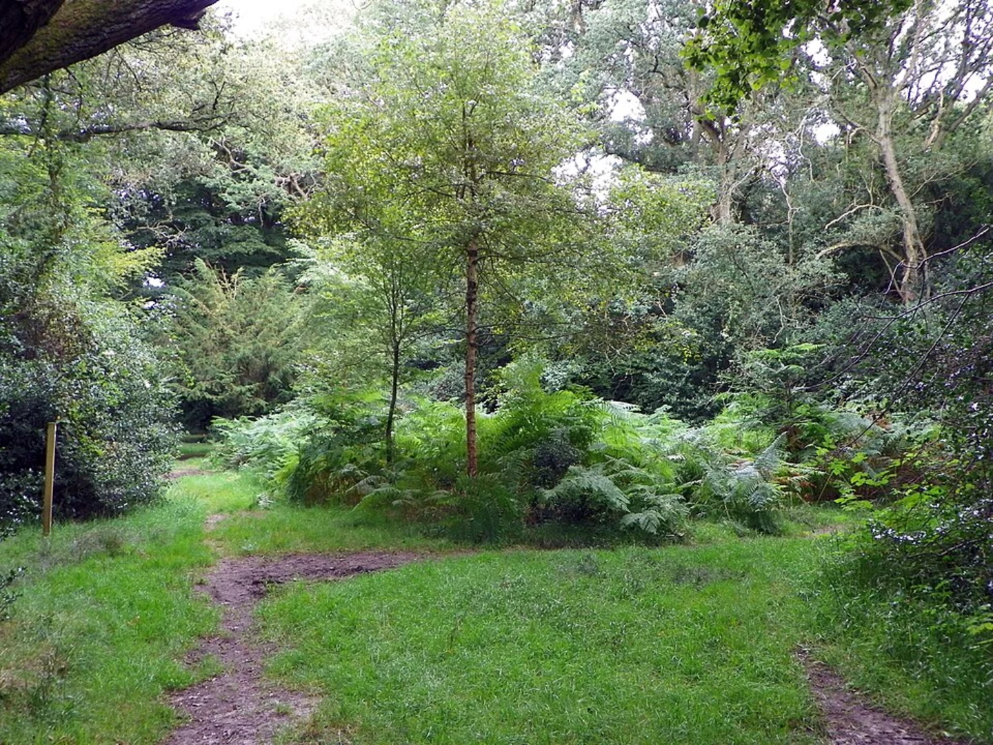 An image depicting the trail West Wycombe Park Loop Walk and its surrounding area.