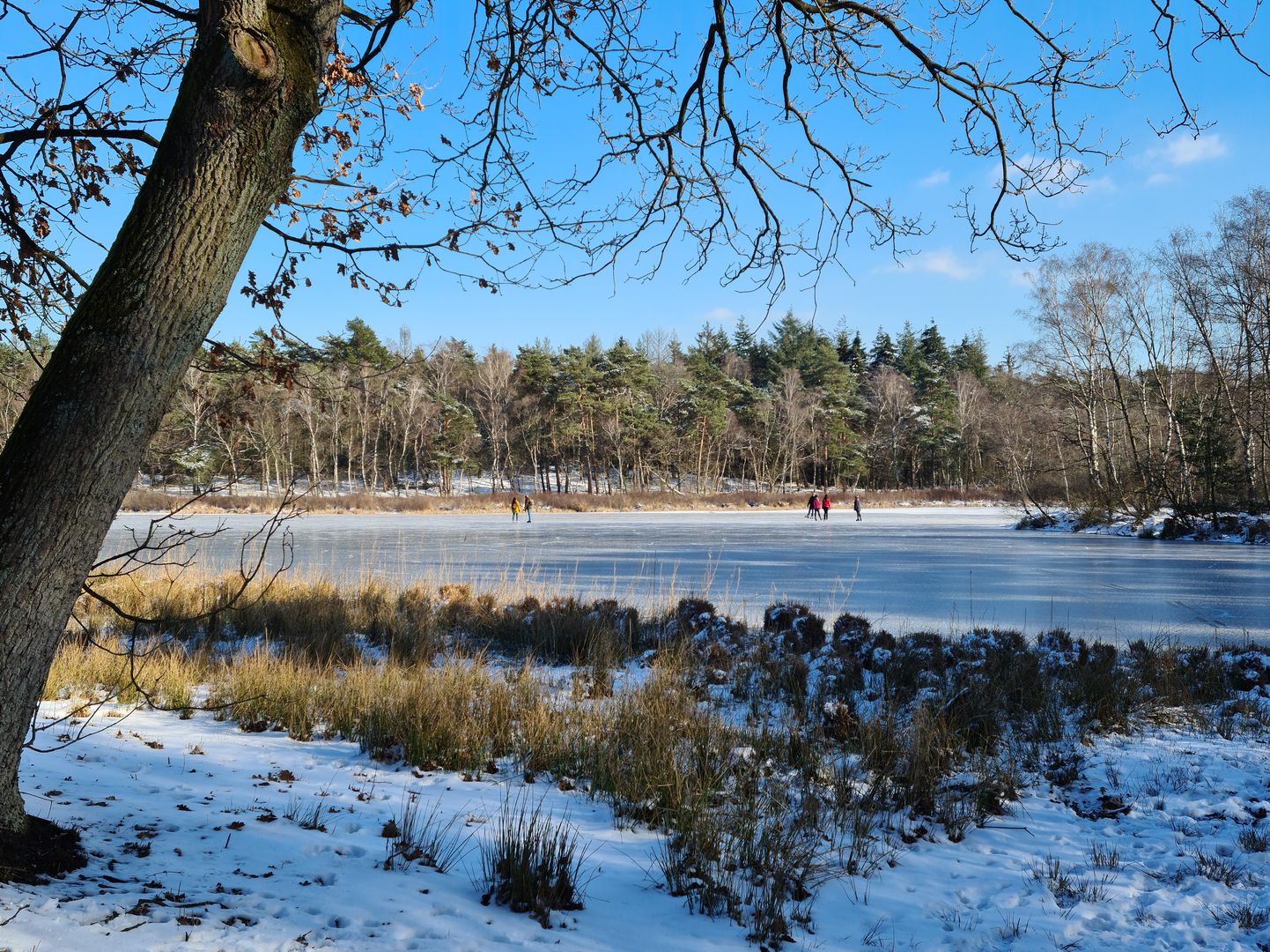 An image depicting the trail Roivennen, Melickerven and herkenbosscherven Loop and its surrounding area.