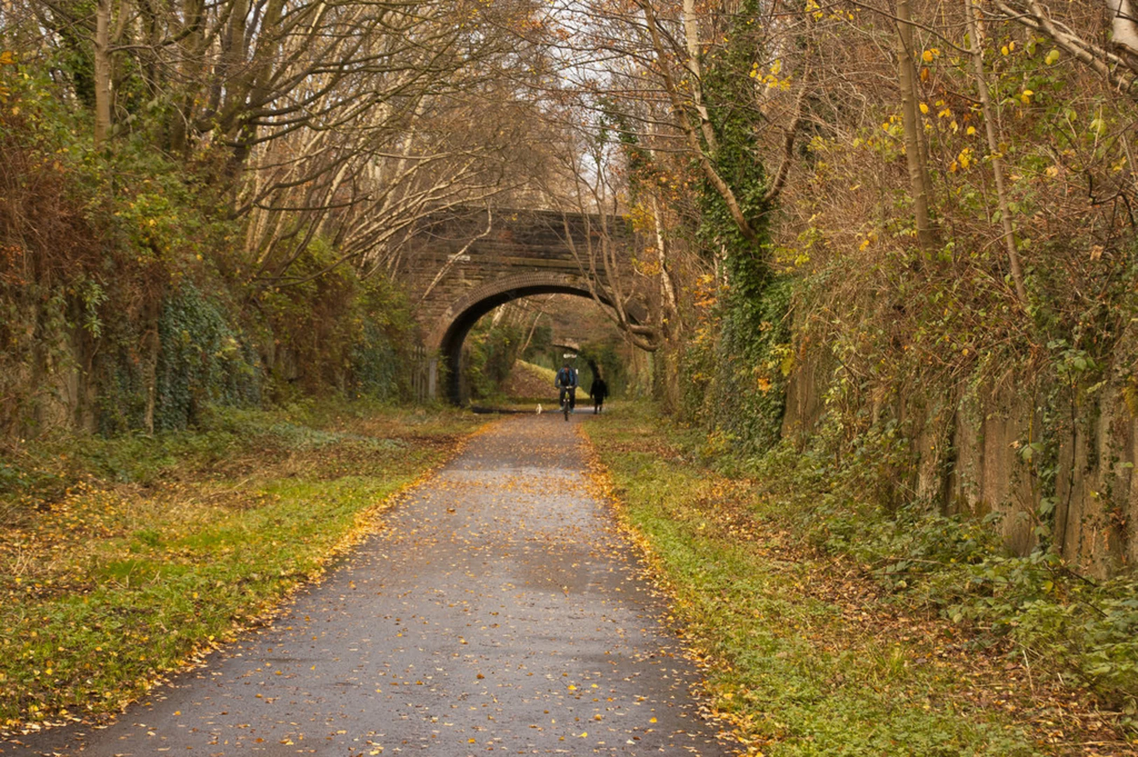 An image depicting the trail Liverpool Loop Line and its surrounding area.