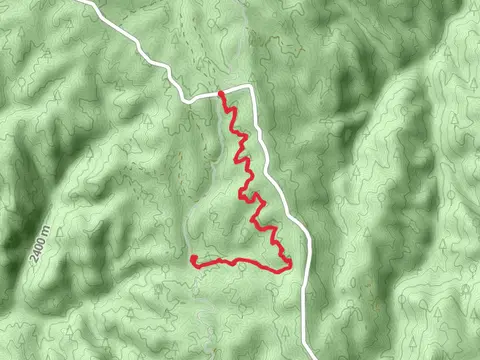 Long Hollow Bypass Trail